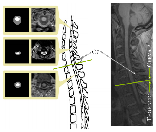 AMRS Figure 1.png