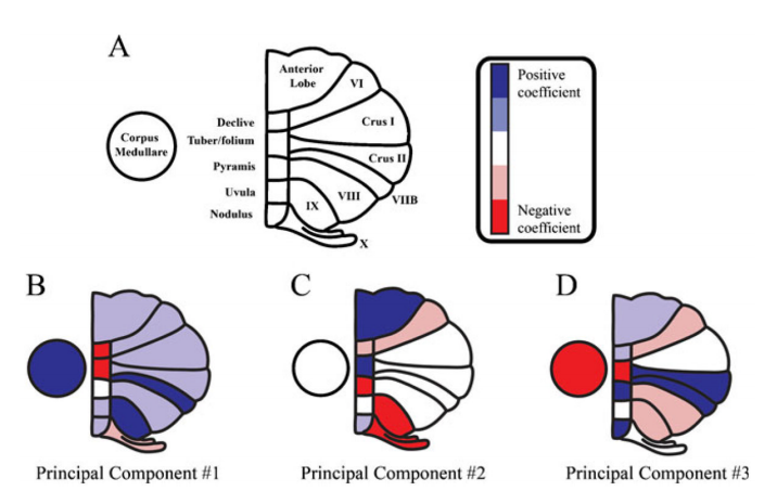 PCA Figure 2.png