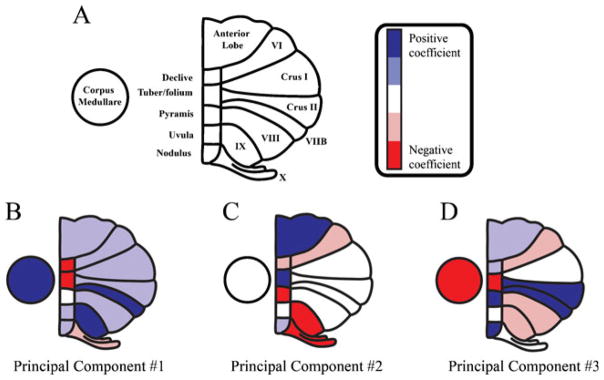 PCA Figure 2.jpg