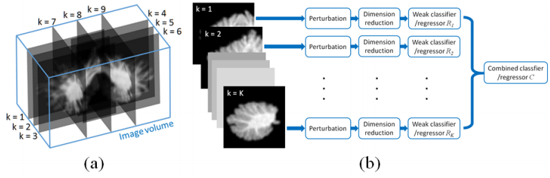 LCA Fig2.png