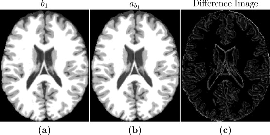 PSICLONE Figure 2.jpg