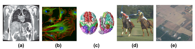 MGDM Figure 1.png