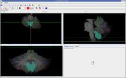 Lobe9c.PNG